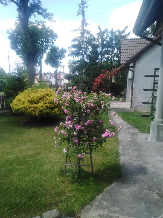 Piernikowy Dworek Lubicz Exterior photo